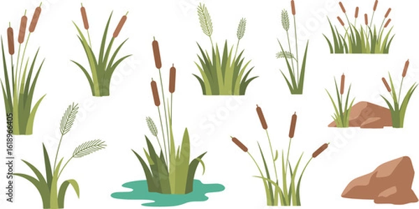 Fototapeta Cartoon cattails and grass set, swamp and wetland plant illustrations, natural pond vegetation, riverbank foliage, flat design landscape elements