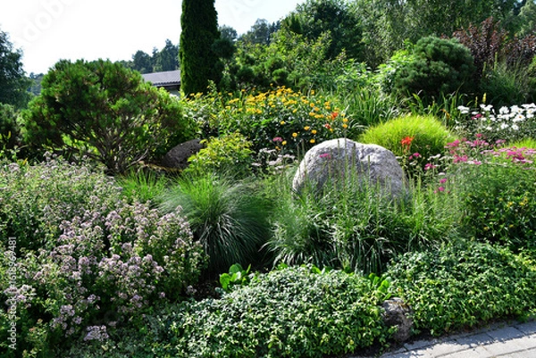 Fototapeta Flower bed with blooming plants and large decorative granite boulder in Lithuanian garden