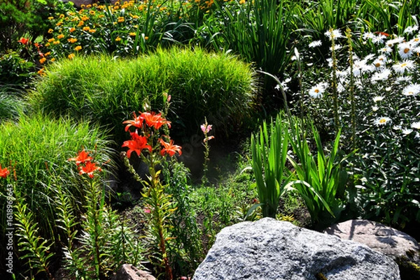 Fototapeta Flower bed with blooming plants and large decorative granite boulder in Lithuanian garden