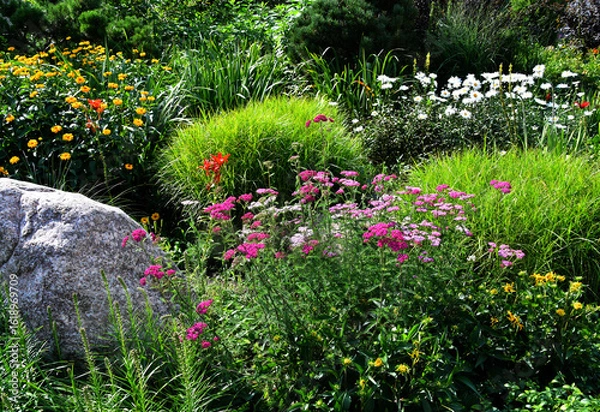 Fototapeta Flower bed with blooming plants and large decorative granite boulder in Lithuanian garden