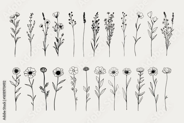 Obraz Wildflower Clipart Bundle – Hand-Drawn Botanical Vector Set 
