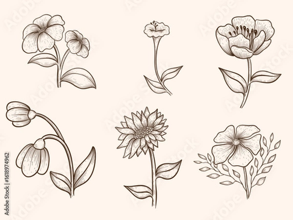 Fototapeta Vintage Hand-Drawn Botanical Flower Set Vector