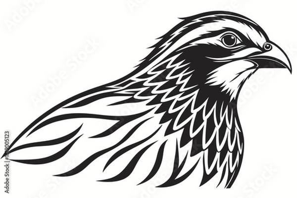 Obraz head of eagle