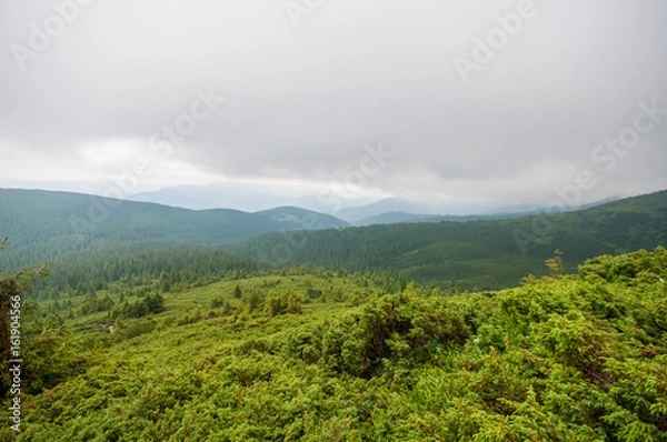 Fototapeta Подъем на Говерлу