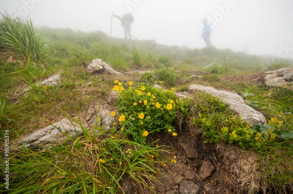 Fototapeta Подъем на Говерлу