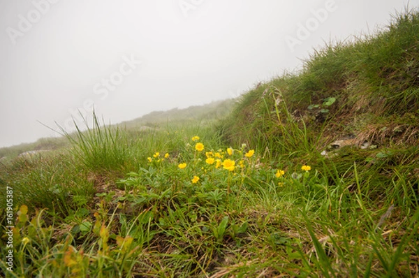 Fototapeta Подъем на Говерлу