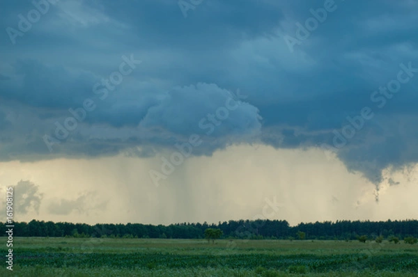 Fototapeta Гроза