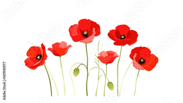 Fototapeta   flowers