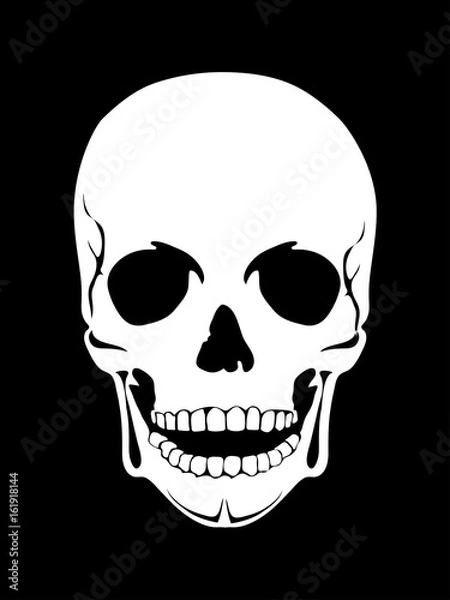 Obraz Silhouette Illustration of a human skull Vector