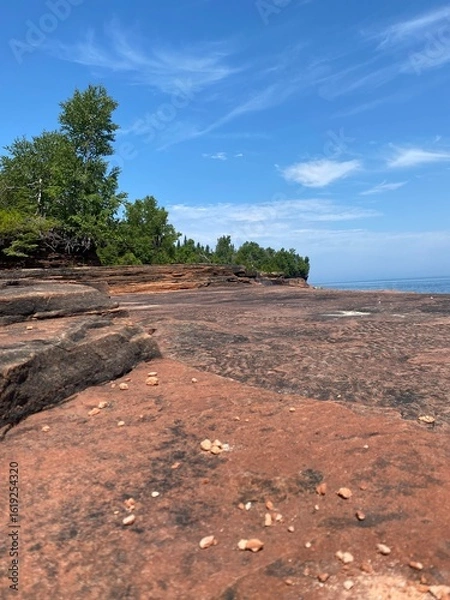 Fototapeta tree on the beach