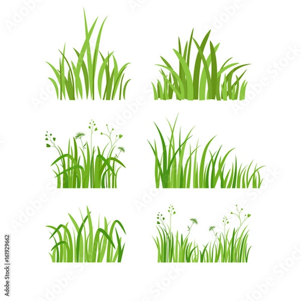 Obraz Green grass set