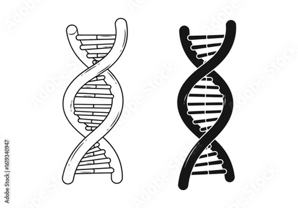 Fototapeta Vector art of dna molecule illustration and its silhouette isolated on white background