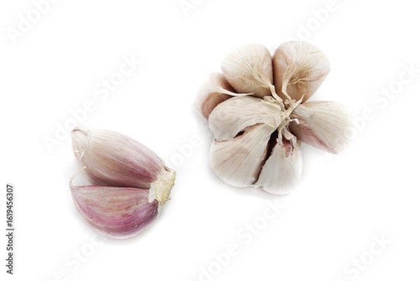Obraz garlic isolated on white