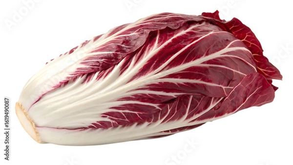 Fototapeta Fresh radicchio head isolated on transparent background