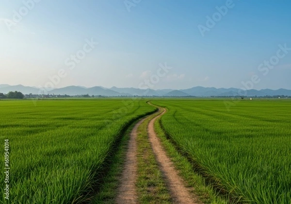 Obraz Serene Path Through Verdant Rice Fields