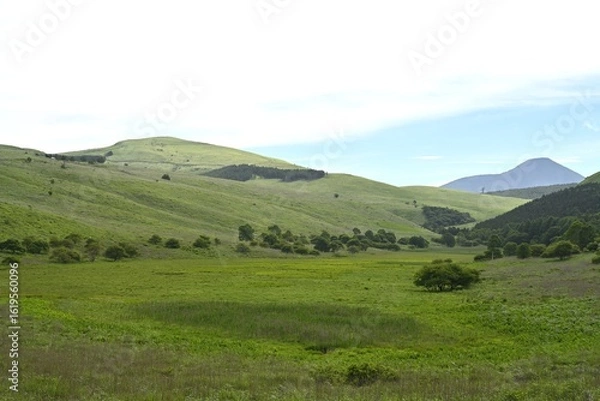 Fototapeta 夏空と緑が広がる車山高原／長野県