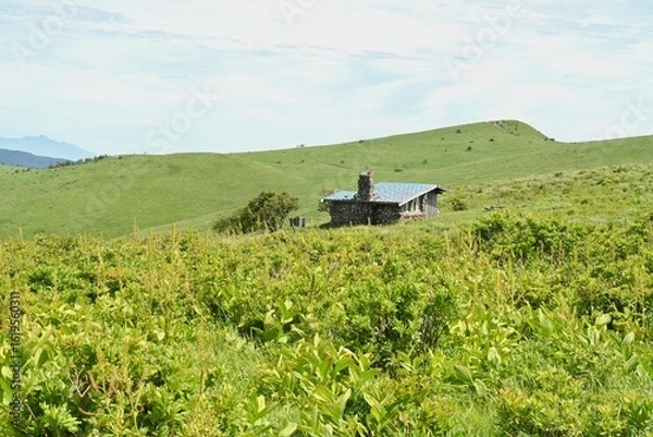 Fototapeta 夏空と緑が広がる車山高原／長野県