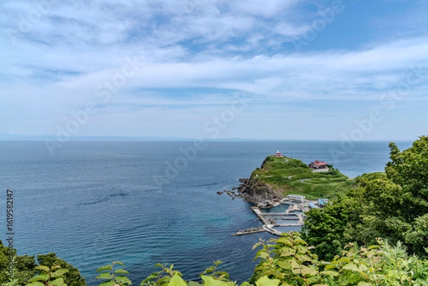 Obraz 小樽祝津パノラマ展望台から風景