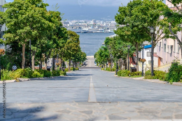 Obraz 函館八幡坂の風景