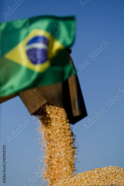 Obraz COLHEITA DE MILHO