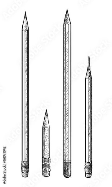 Fototapeta Ilustracja ołówkiem, rysunek, grawerowanie, atrament, grafika liniowa, wektor