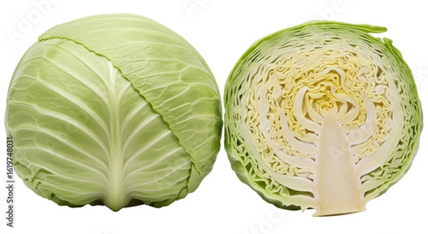 Fototapeta Isolated Cabbage