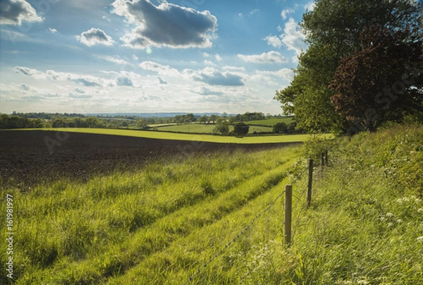 Fototapeta Evening In The Countryside