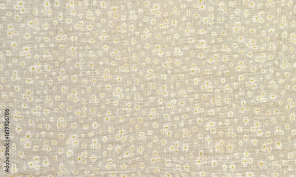 Fototapeta Grey cotton background, light grey daisy textile background