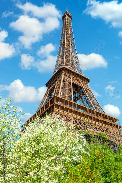 Obraz The Eiffel Tower