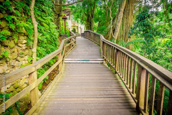 Fototapeta Dragon bridge at Ubud Sacred Monkey Forest Sanctuary, a nature reserve and Hindu temple complex in Ubud, Bali, Indonesia