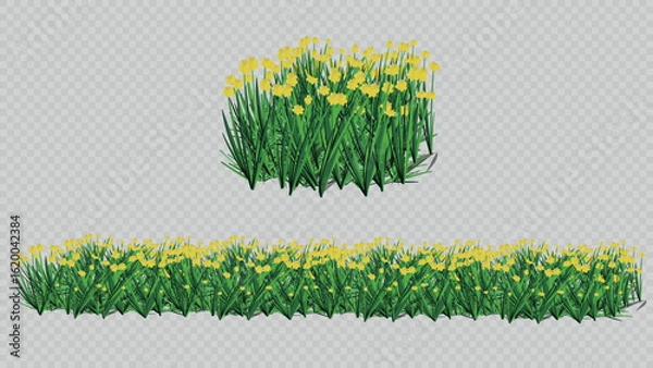 Obraz Vector set with a bunch and seamless border of wild grass with bright yellow flowers. Ideal for spring and summer nature-inspired design projects.