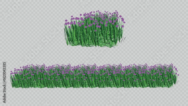 Fototapeta A botanical illustration featuring a bunch and seamless border of wild grass with vibrant purple flowers. Perfect for nature-themed designs and decorative borders.