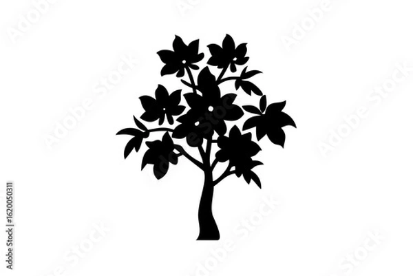 Fototapeta Sapodilla Tree Silhouette with Blooming Flowers white background