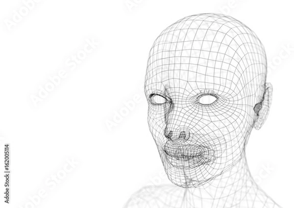 Obraz Wireframe young woman head