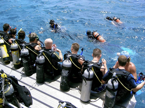 Obraz divers ii