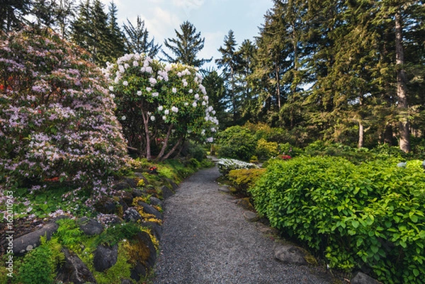 Obraz Lush flower garden.