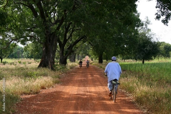 Obraz Mopeds and Bicycle