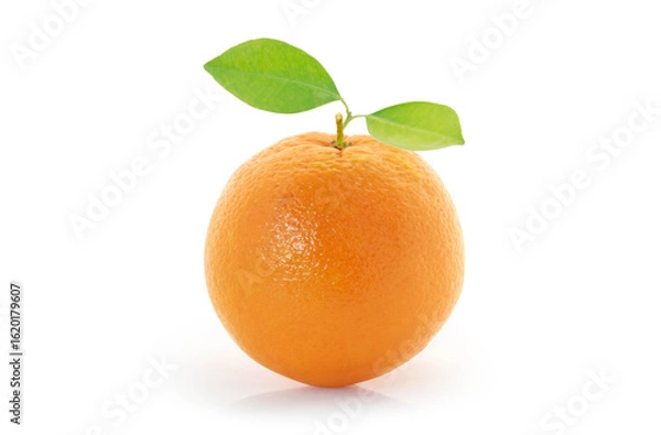 Obraz Orange  on white background