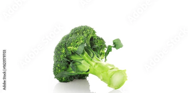Obraz broccoli