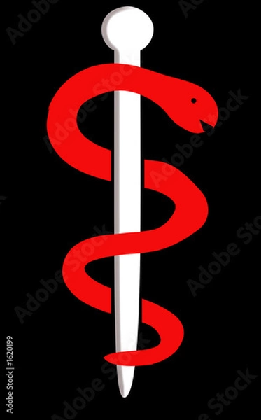 Fototapeta äskulabstab 6