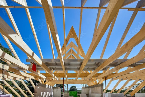 Obraz richtfest dachstuhl