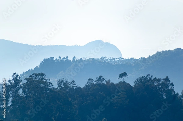Fototapeta Serene mountains of Kodaikanal shrouded in mist during early morning hours