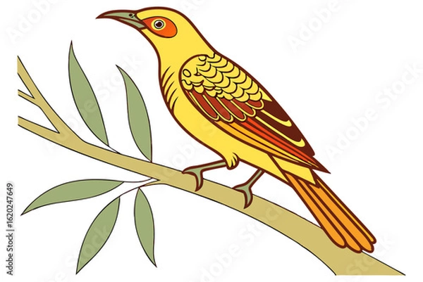 Fototapeta Colorful bowerbird vector art on white surface