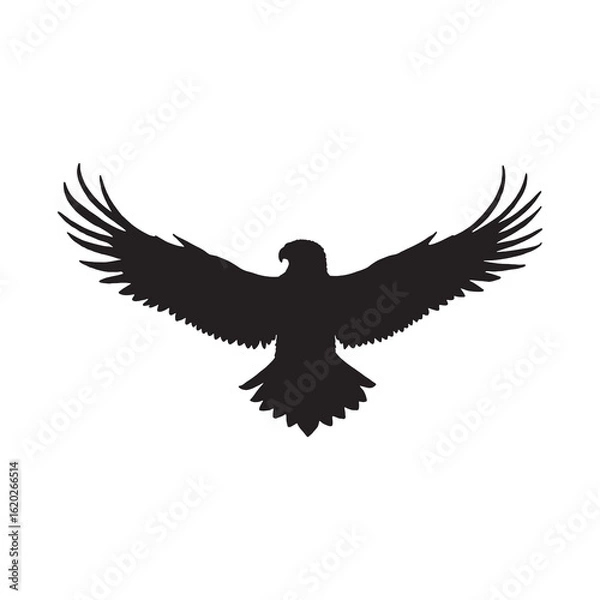 Fototapeta Powerful Silhouette of a Soaring Eagle