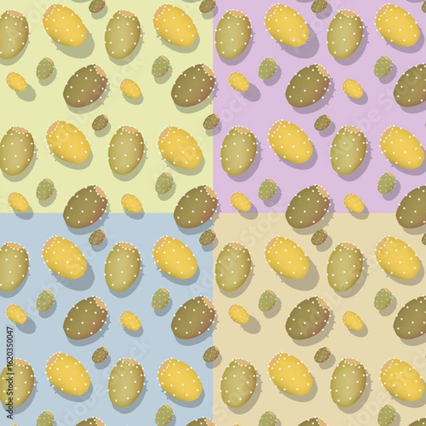 Obraz fruto de cactus