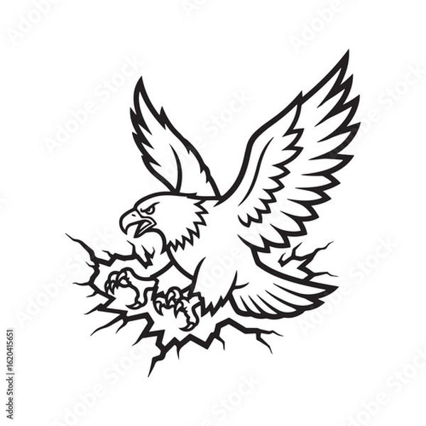 Obraz eagle with wings