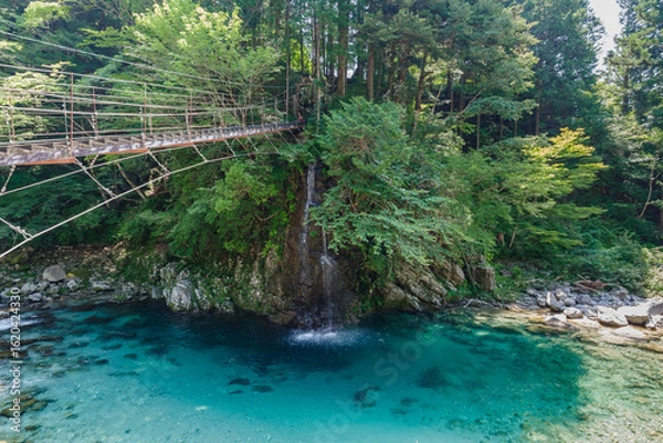 Obraz 付知川と吊り橋（岐阜県中津川市）