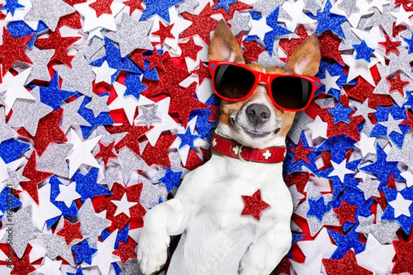 Obraz independence day 4th of july dog