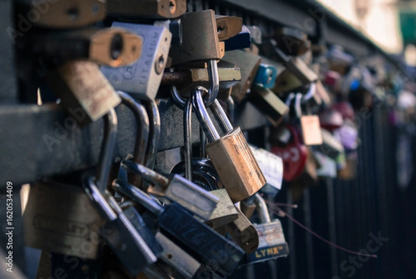 Fototapeta locks on the bridge