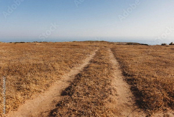 Obraz Dirt road, Puglia